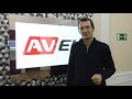 Обзор влагозащищенного встраиваемого телевизора AVS430SM от компании AVEL