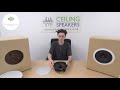 The Top 5 Ceiling Speakers