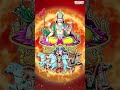 As the sun rises, so does our devotion to Lord Surya. #sundayspecial  - 00:59 min - News - Video