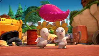 Rabbids Invasion - Msorav rastlina