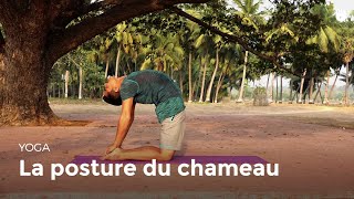 Sikana - Apprendre la posture du chameau - Ushtrasana