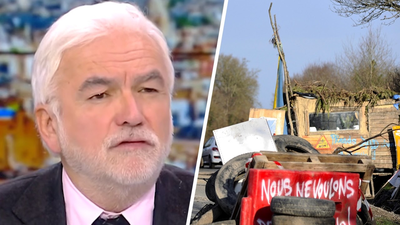 "Vous n’avez pas de courage... même pour entrer dans la ZAD" affirme Pascal Praud