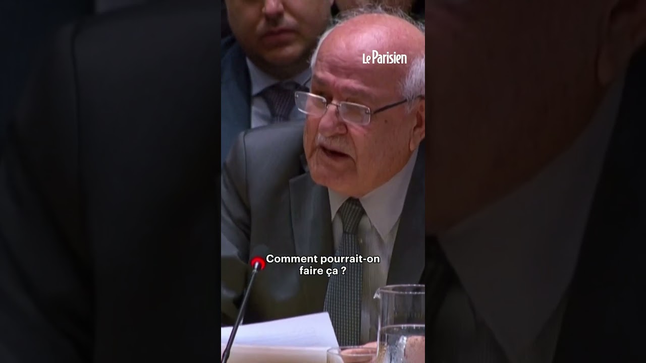 Les larmes de l'ambassadeur de Palestine à l'ONU