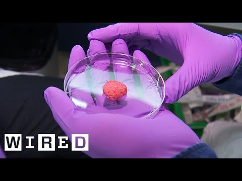 Inside the Quest to Make Lab Grown Meat