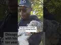 Chicago man is reunited with his missing dog after ten years