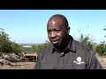 South African macadamia farmers eye new markets after US tariff jolt | REUTERS