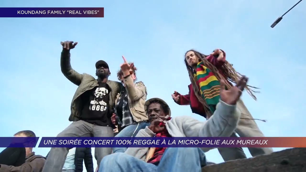 Yvelines | Une soirée concert 100% reggae à la micro-folie aux Mureaux