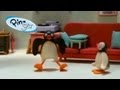 Pingu Boogaloo