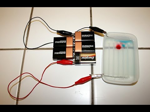 Gel Electrophoresis and Forensic Science: Biotechnology Science Fair ...