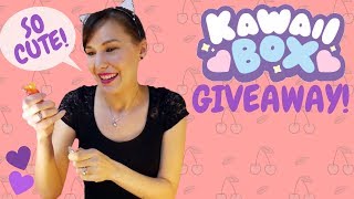 Kawaii Box Unboxing