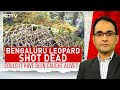 Could The Bengaluru Leopard Have Been Saved? | The Southern View