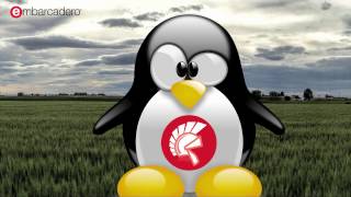 Ubuntu Install Guide for Delphi on Linux Beta