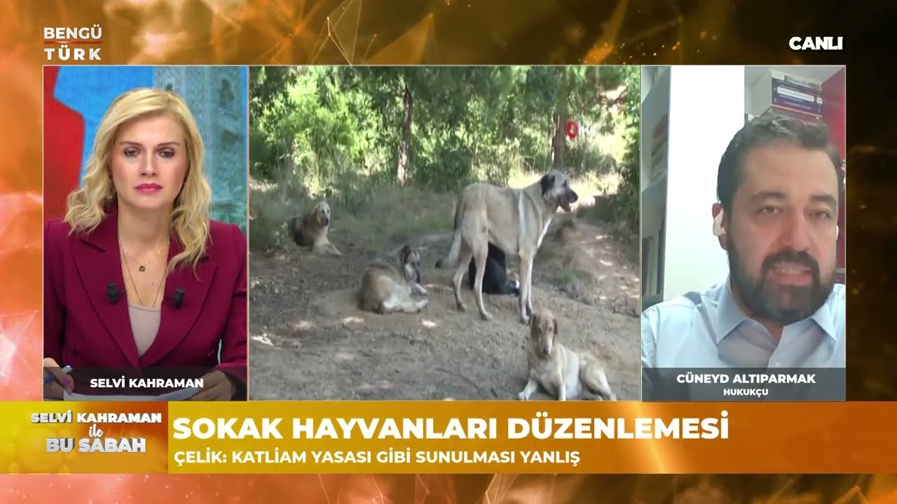 AF VARMI ? İNFAZ KANUNUNDAN YENİ GELİŞMELER NELER? 9. YARGI PAKETİNDE NELER VAR ?  BENGÜ TÜRK TV