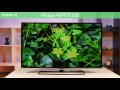 Philips 40PFT5500 - FullHD-телевизор c функцией Smart TV - Видеодемонстрация от Comfy.ua