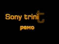 Ремонт телевизора Sony Trinitron