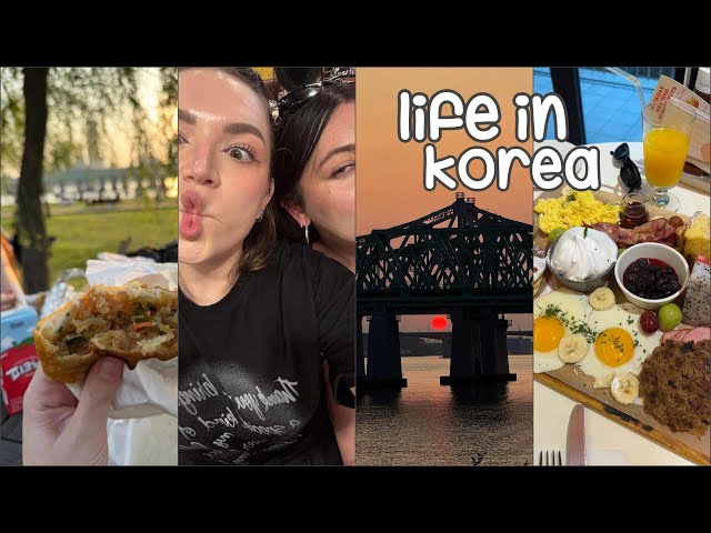 weekly korea vlog☀️ una sorpresa nascosta, gita a suwon, location k-drama e cibo delizioso!