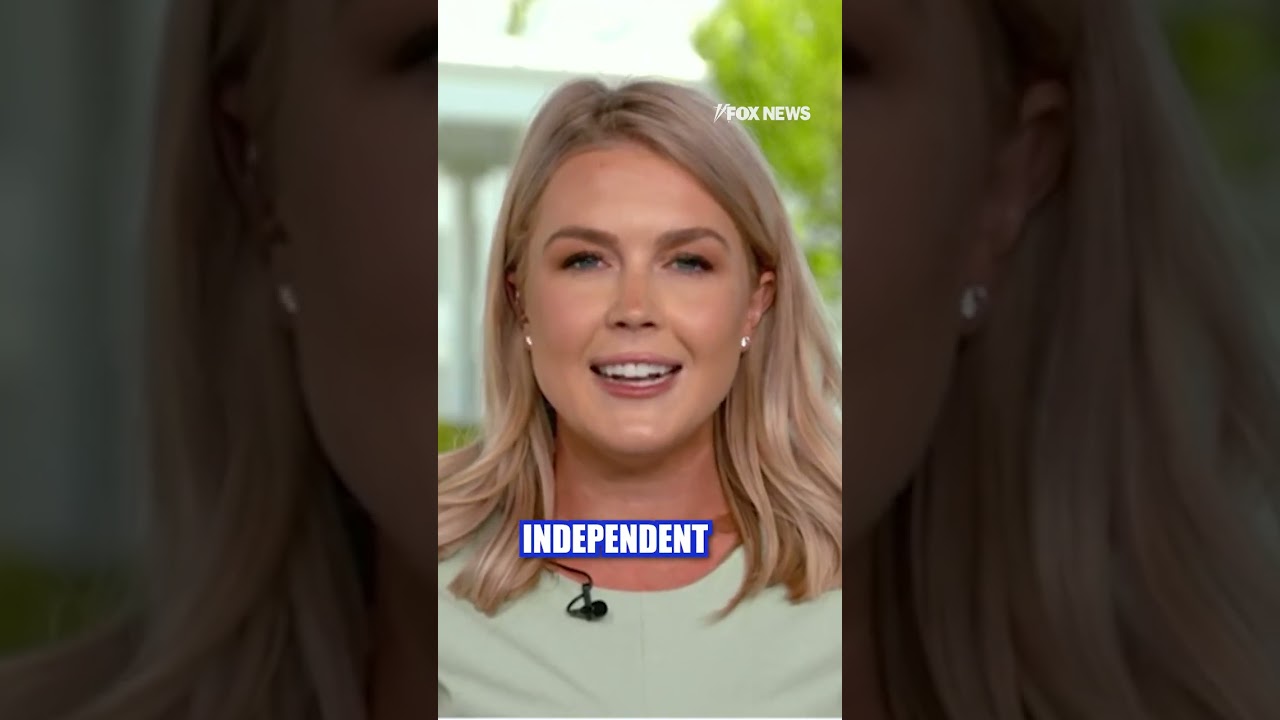 Leavitt calls out 'elitist journalists' #shorts