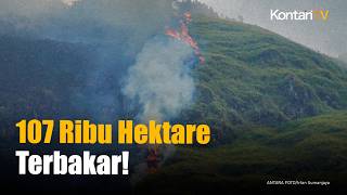 El Nino “Godzilla” Mengancam, 107.000 Hektare Hutan RI Terbakar
