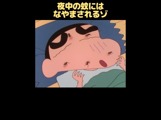 夜中の蚊にはなやまされるゾ