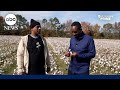 Black farmer fights stigma around cotton