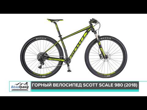 scott scale 80 2008