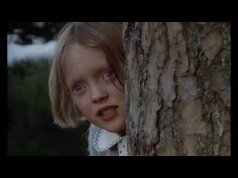 Swallows and Amazons'