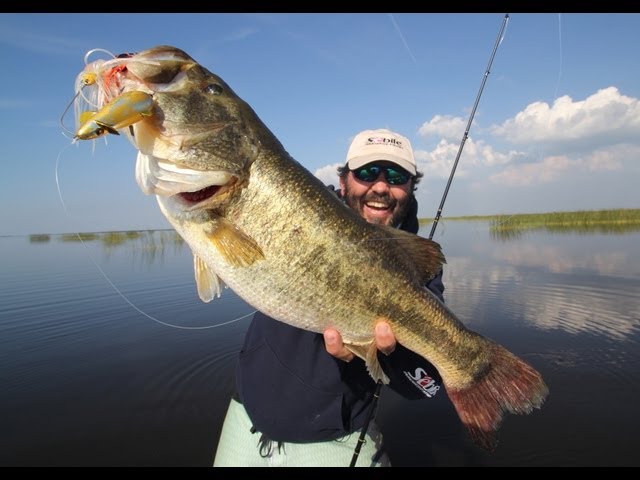 World S Largest Large Mouth Bass 2