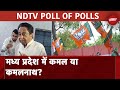 Madhya Pradesh Exit Polls | Exit Poll 2023 के अनुसार मध्य प्रदेश में किसकी सरकार बन रही?