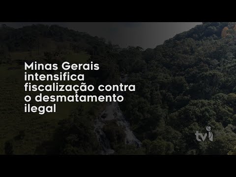 Vídeo: Minas Gerais intensifica fiscalização contra o desmatamento ilegal