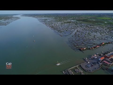 Vidéo de l’hébergement