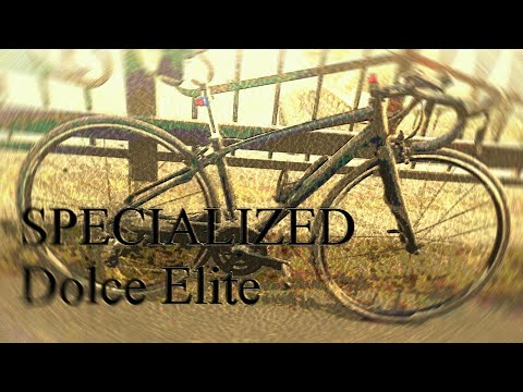 specialized dolce elite 2019