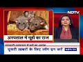 Madhya Pradesh के Hospital में चूहों का आतंक, बच्चों को चूहों से बचाना बड़ी चुनौती  - 05:06 min - News - Video