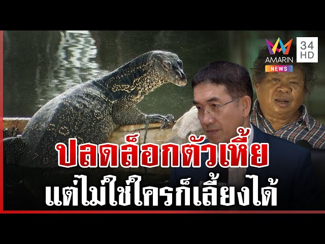 ปลดล็อก "เหี้ย" ให้เพาะพันธุ์ได้ กูรูแนะวิธีเลี้ยง | ทุบโต๊ะข่าว | 12/07/68
