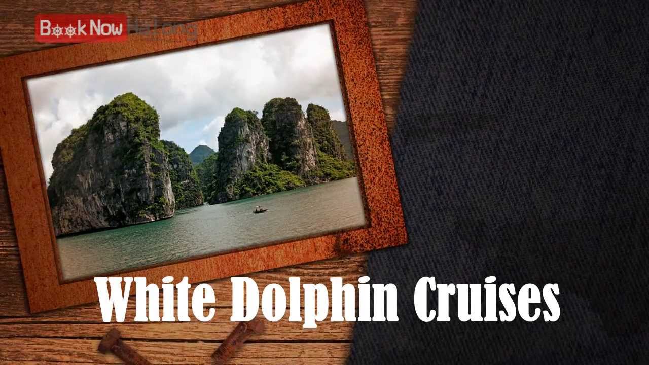 White Dolphin Cruises - Booknowhalong.com - YouTube