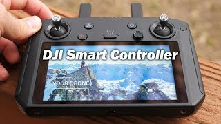 smart controller dji fpv