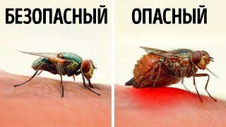 100+ прикольных фактов о животных, которые заставят вас остановиться и задуматься