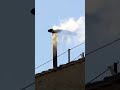 White smoke signals a new pope has been selected - 00:32 min - News - Video