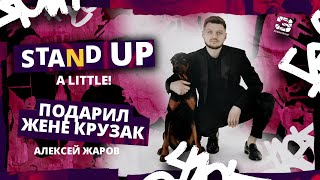 Stand Up A little | ПОДАРИЛ ЖЕНЕ КРУЗАК | Алексей Жаров | Edwin Group