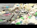 Whats in the proposed global plastics treaty?