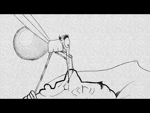 How a Mosquito Operates'