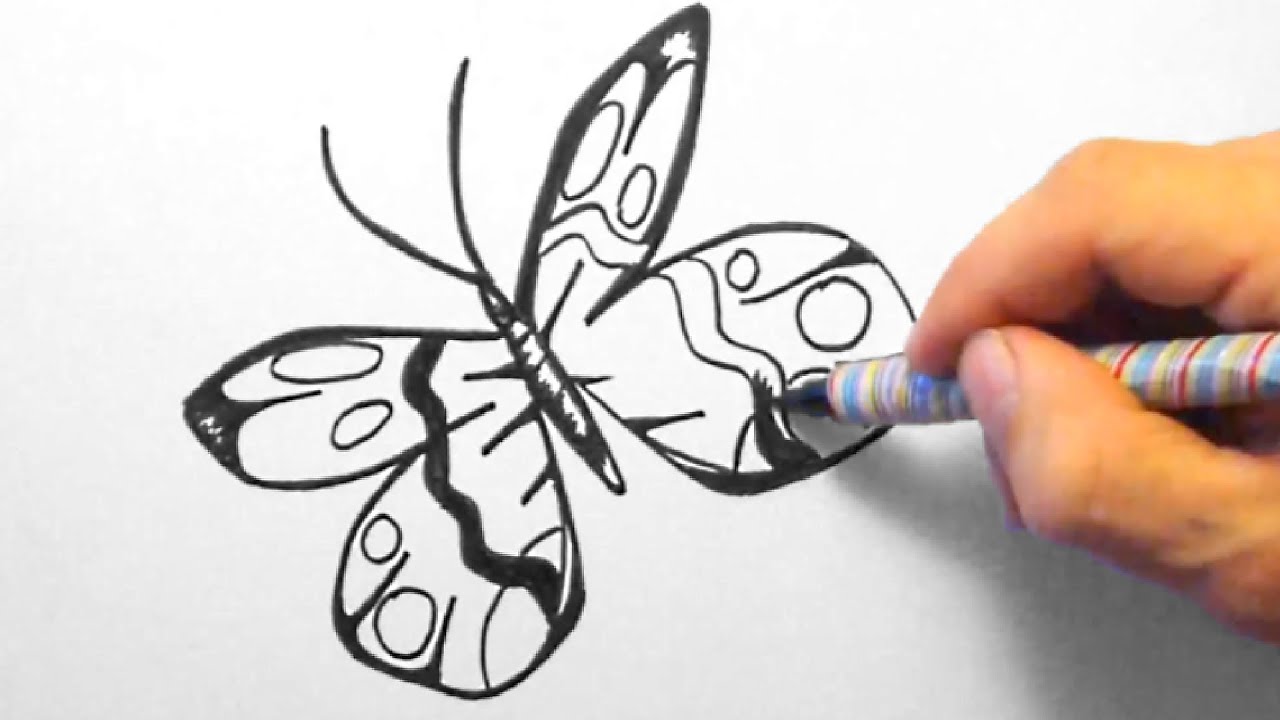 Schmetterling, zeichnen für Anfänger (Butterfly, drawing for beginners