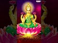 Lakshmi Devis Divine Melodies : #JayalakshmiVaralakshmi #mahalakshmisongs #telugudevotional  - 00:59 min - News - Video