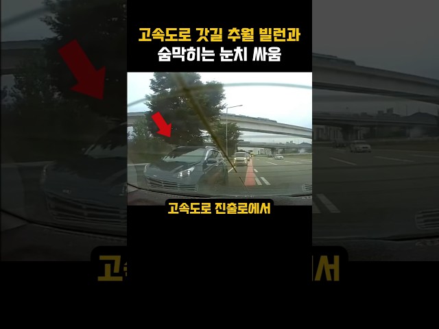 고속도로 갓길 추월 빌런과 눈치 싸움