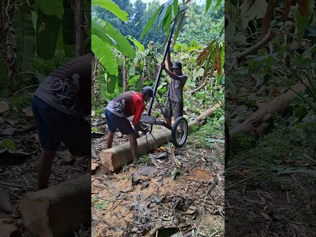 IDE JENIUS Kerja berat jadi ringan #shorts #woodworking #idekreatif