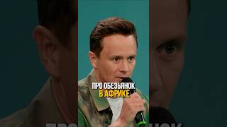 Прожарка на Айзу