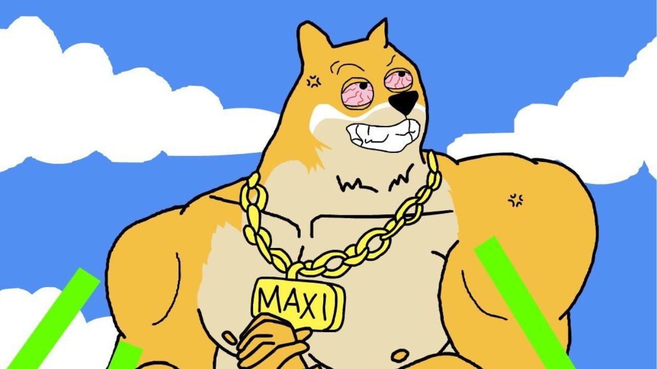 MAXI DOGE IS GOING TO EXPLODE!! THE NEXT DOGE COIN?!