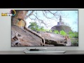 Philips 40PFT6550 – обзор телевизора на базе ОС Android