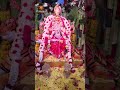 చతుర్భుజాలతో భక్తులను అనుగ్రహిస్తున్న అమ్మలగన్న అమ్మ దర్శనం #kotideepotsavam2023 #bhakthitv - 00:36 min - News - Video