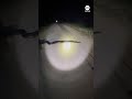 Massive Burmese python captured in Florida  - 00:49 min - News - Video