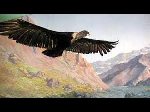 El Condor Pasa - Paul Simon & Garfunkel